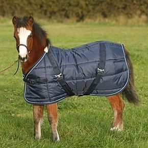 Mark Todd Foal Stable Rug - Equestrian Shop